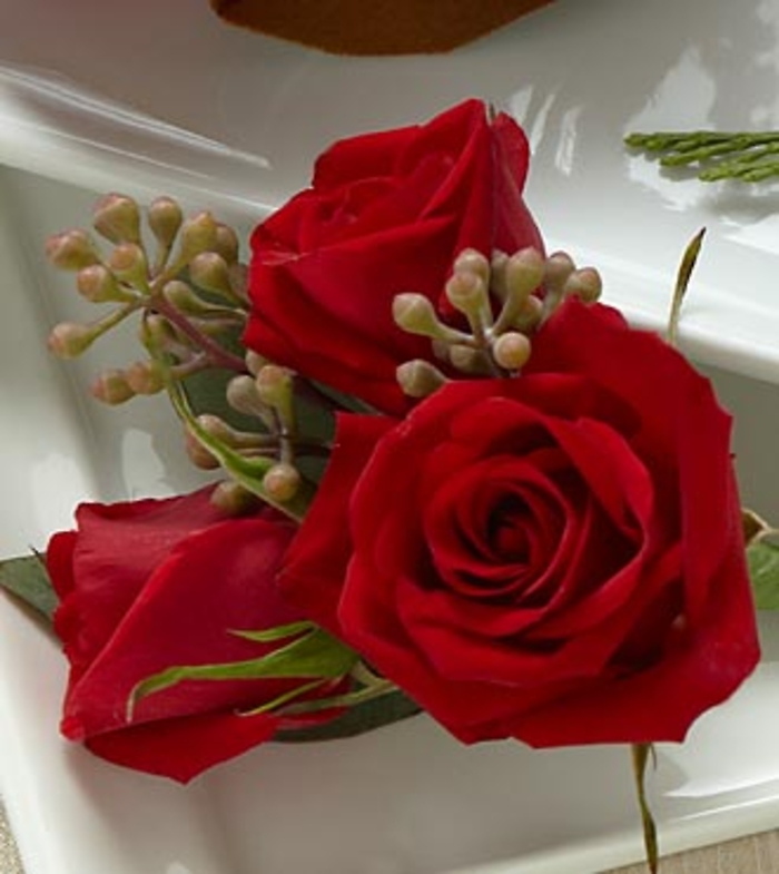 The Red Spray Rose Boutonniere