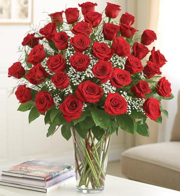 Ultimate Elegance&trade;  Premium Long Stem Red Roses