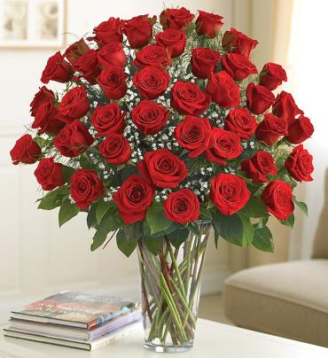 Ultimate Elegance&trade;  Premium Long Stem Red Roses