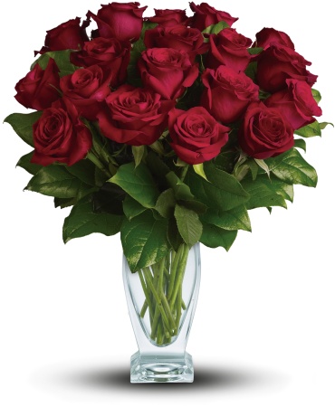 Rose Classique - Dozen Red Roses