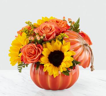 Harvest Traditions™ Pumkin