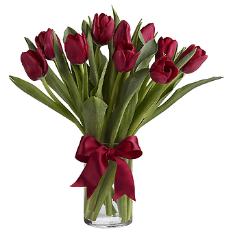 Radiantly Red Tulips