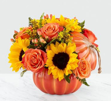 Harvest Traditions™ Pumkin