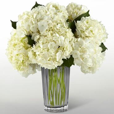 The Ivory Hydrangea Bouquet by Vera Wang