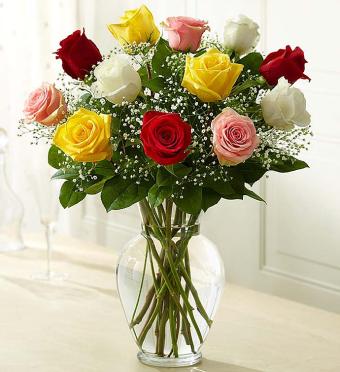 Rose Elegance&trade; Premium Long Stem Assorted Roses