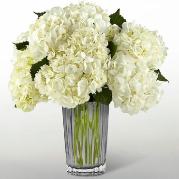 The Ivory Hydrangea Bouquet by Vera Wang